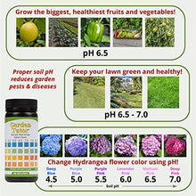 Load image into Gallery viewer, Garden Tutor Soil pH Test Kit &amp; Dirtilizer 3-0-3 Liquid Fertilizer &amp; Soil Conditioner Bundle
