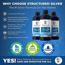 Load image into Gallery viewer, Salus Defense Structured Silver Liquid — Daily Immune Support Supplement with Advanced Structured Silver Technology — All Natural and Safe for All Ages with No Additives — 16 Ounce Bottle (2 Pack)
