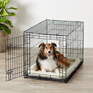 AmazonBasics Single Door Folding Metal Dog Crate Kennel with Tray, 36 x 23 x 25 Inches