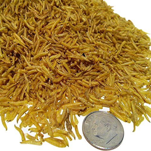 Aquatic Foods Inc. Freeze Dried White Worms - Freeze Dried, Great for Smaller Tropicals and Marines.1/4-lb