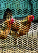 Load image into Gallery viewer, Tenax 72120546 Hex Poultry Fence, 3' x 25' Black
