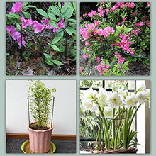 Load image into Gallery viewer, 10 Pack Garden Plant Support Stakes,10&quot; Wide x 16&quot; High Half Round Metal Garden Plant Support Ring Cage Border Support, Garden Supports for Plants Peony Flowers Vine Tomato with 66ft Plant Ties
