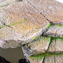 Load image into Gallery viewer, PENN-PLAX Reptology Shale Scape Step Ledge &amp; Cave Hideout – Decorative Resin for Aquariums &amp; Terrariums – Great for Reptiles, Amphibians, and Fish – Medium
