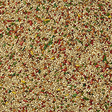 Load image into Gallery viewer, Kaytee Forti-Diet Pro Health Parakeet Pet Bird Food, 4 Pound
