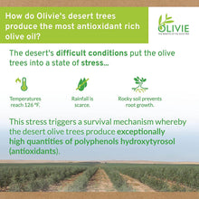 Load image into Gallery viewer, Organic High Polyphenol Rich Extra Virgin Olive Oil OLIVIE PLUS 30X | Moroccan Desert Olive Oil | EVOO | MD Recommended | Organic, Kosher | 250 ml Glass Bottle
