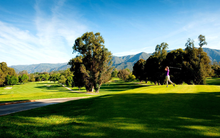 Load image into Gallery viewer, Golf Star: Free game
